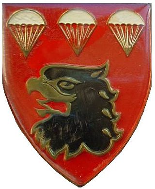 <span class="mw-page-title-main">3 Parachute Battalion</span> Military unit