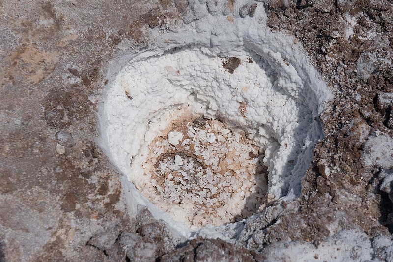 File:Salt Plains Digging Area hole.jpg