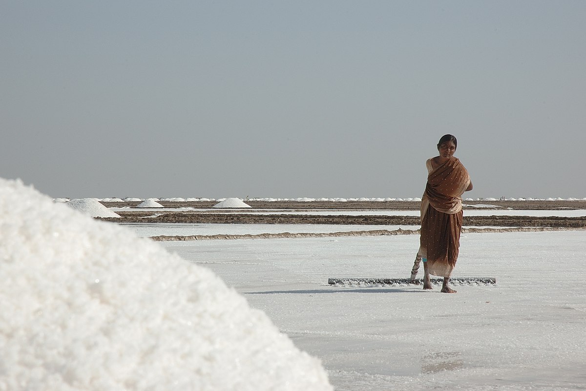 Kutch – Travel guide at Wikivoyage