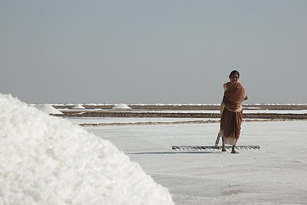 The Rann of Kutch is a seasonally marshy saline clay desert located in the state of Gujarat, India.