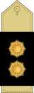 Lieutenant Colonel