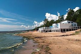 Kust van de Finse Golf, pos.  Komarovo