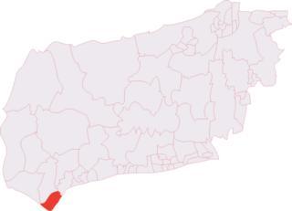 <span class="mw-page-title-main">Selsey (electoral division)</span>