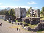 Shane's Castle Camellia House, Antrim