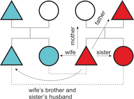 File:Sister exchange basic model en 01.svg