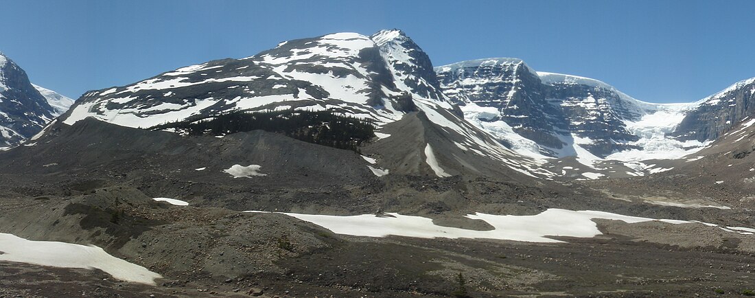 Snow Dome (berg)