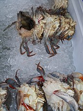 Soft-shelled blue crabs in New Orleans, Louisiana Soft-shell crab on ice.jpg