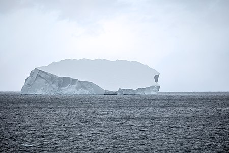 Iceberg, Point Wild