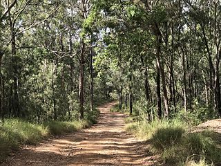 <span class="mw-page-title-main">Spicers Gap Road</span> Historic road in Queensland, Australia