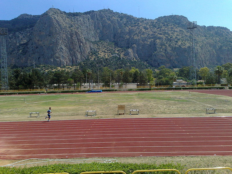 File:Stadio delle palme 3.jpg