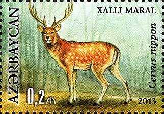 Stamps of Azerbaijan, 2013-1122.jpg