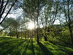 Wiesenlandschaft bei Überroth