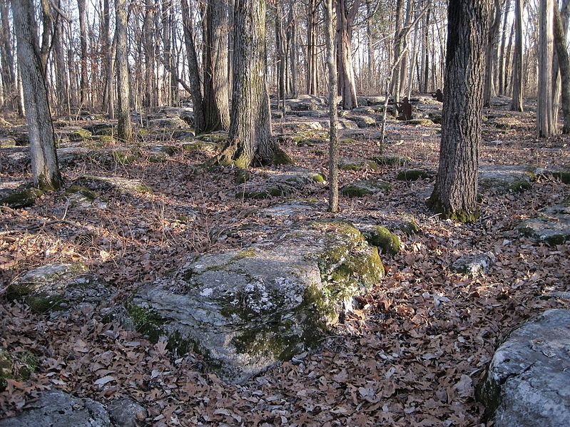 File:Stones River National Battlefield Murfreesboro TN 2013-12-27 013.jpg