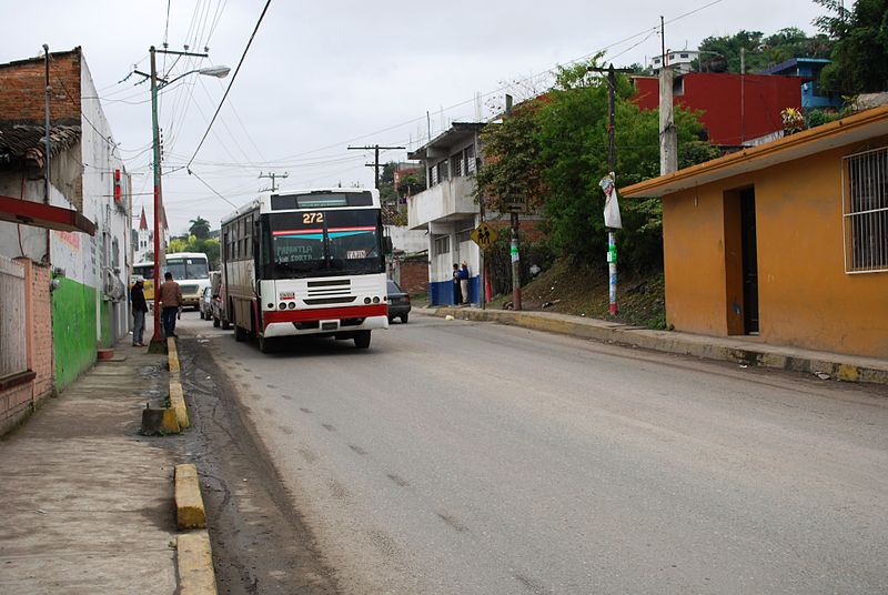 File:StreetBusPapantla.JPG