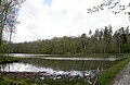 der Katzenbachsee im Wald bei Stuttgart Büsnau