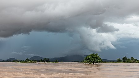 Fail:Submerged tree under a dark and cloudy sky in Si Phan Don.jpg