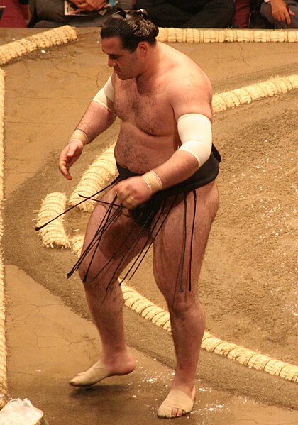 File:Sumo May09 Aran.jpg