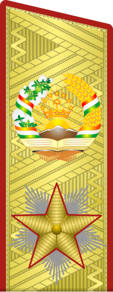 File:Tajikistan-Army-OF-9-par.png