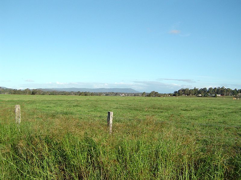 File:Tamborine Mountain from Chambers Flat.JPG