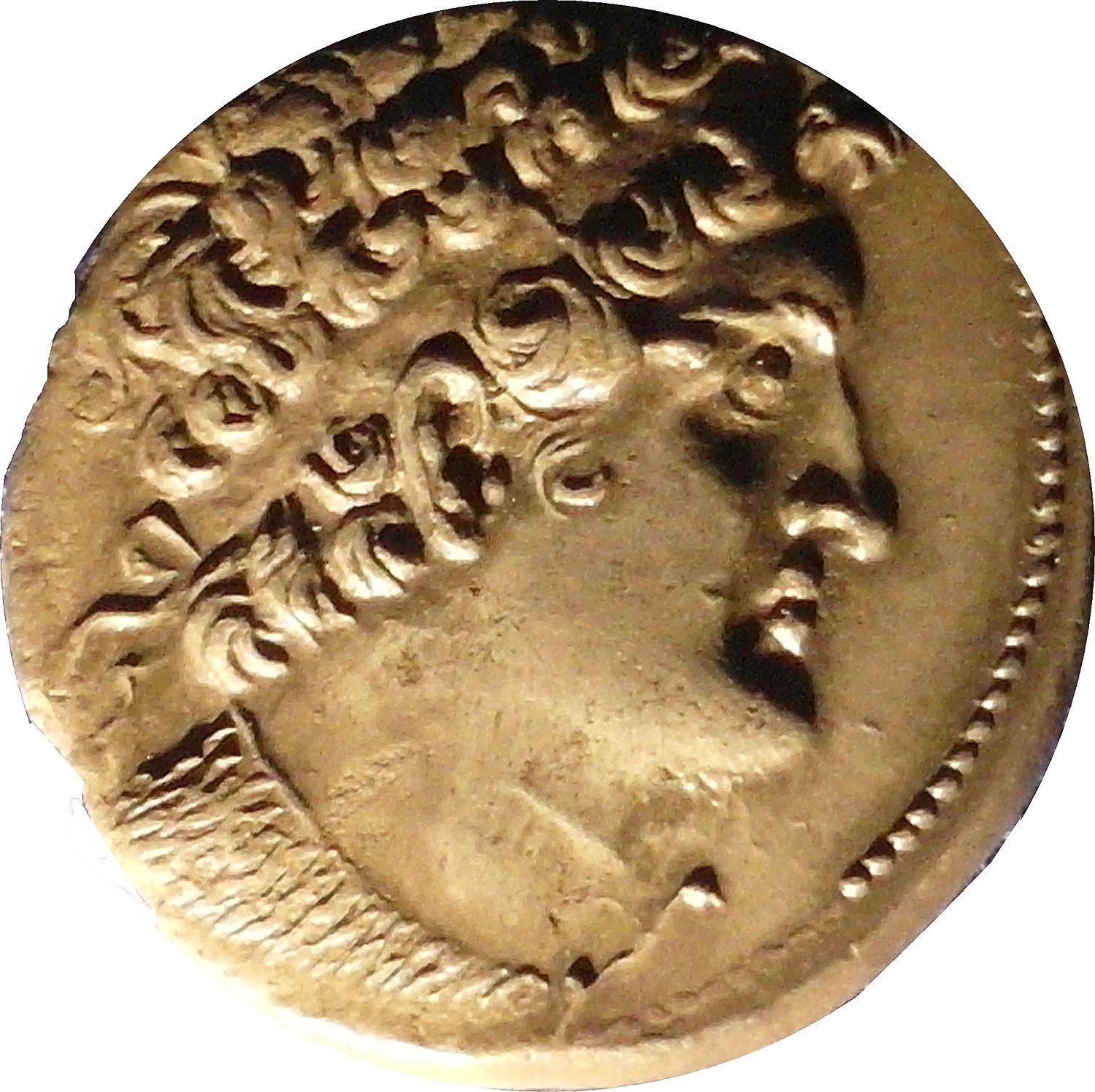 Ptolemeu III Evérgeta - Wikiwand