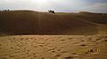 The great Thar desert.jpg