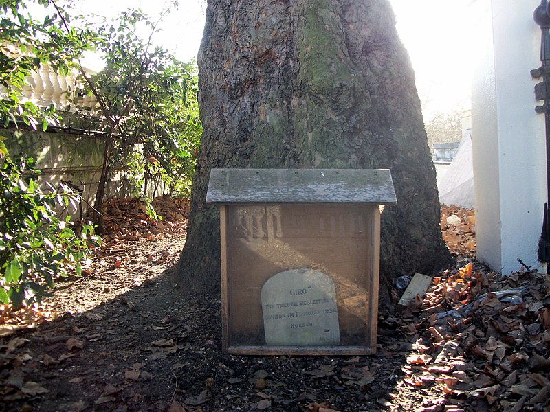 File:The last resting place of the German alsatian Giro (geograph 2756384).jpg