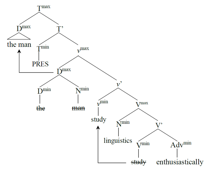 Figure 3 The minimalist structure of "the man studies linguistics enthusiastically".png