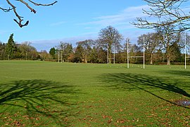 Tree shadows on rugby pitches, Alton - geograph.org.uk - 3238629.jpg