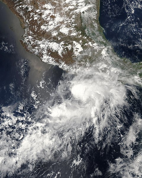 File:Tropical Storm Aletta (2006).jpg