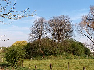 Tumulus de Pépin de Landen