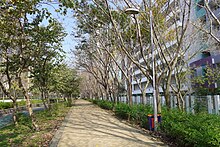 File:Tung_Chung_Harbourfront_Road_path_2016.jpg