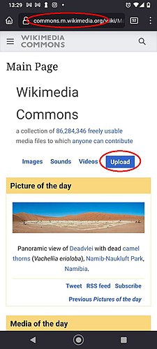 Kunjungi https://commons.m.wikimedia.org (versi mobil), lalu klik "Upload" atau "Unggah"
