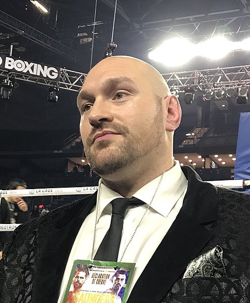 Fury in December 2017