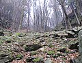 Čeština: Přírodní rezervace Údolí Jizery u Semil a Bítouchova u města Semily, okres Semily - ČR English: Natural reserve Údolí Jizery u Semil a Bítouchova near town Semily (in Semily District - Czech Republic)