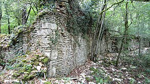 Ruines de l'abbaye