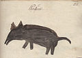 1826, Danga pentru vitele din Porceşti