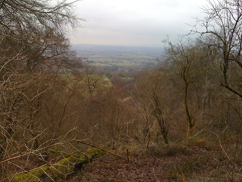 File:View from the Fort - panoramio.jpg