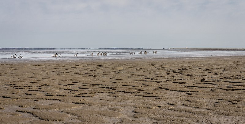 File:Waddenzee achter de zeedijk bij Paesens-Moddergat. 04-04-2023. (actm.) 22.jpg