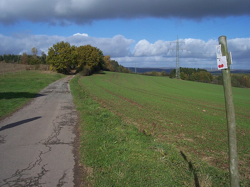 File:Wanderweg beim Wartturm bei Altenkirchen - panoramio.jpg