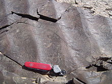 Wave ripple or symmetric ripple, from Permian rocks in Nomgon, Mongolia with "decapitation" of ripple crests due to change in current WaveRipple.JPG