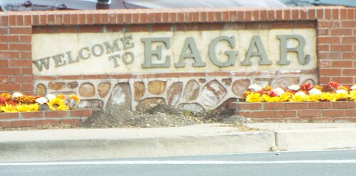 Eagar chiropractor