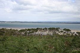 Westelijke haven van het Franse Is.jpg