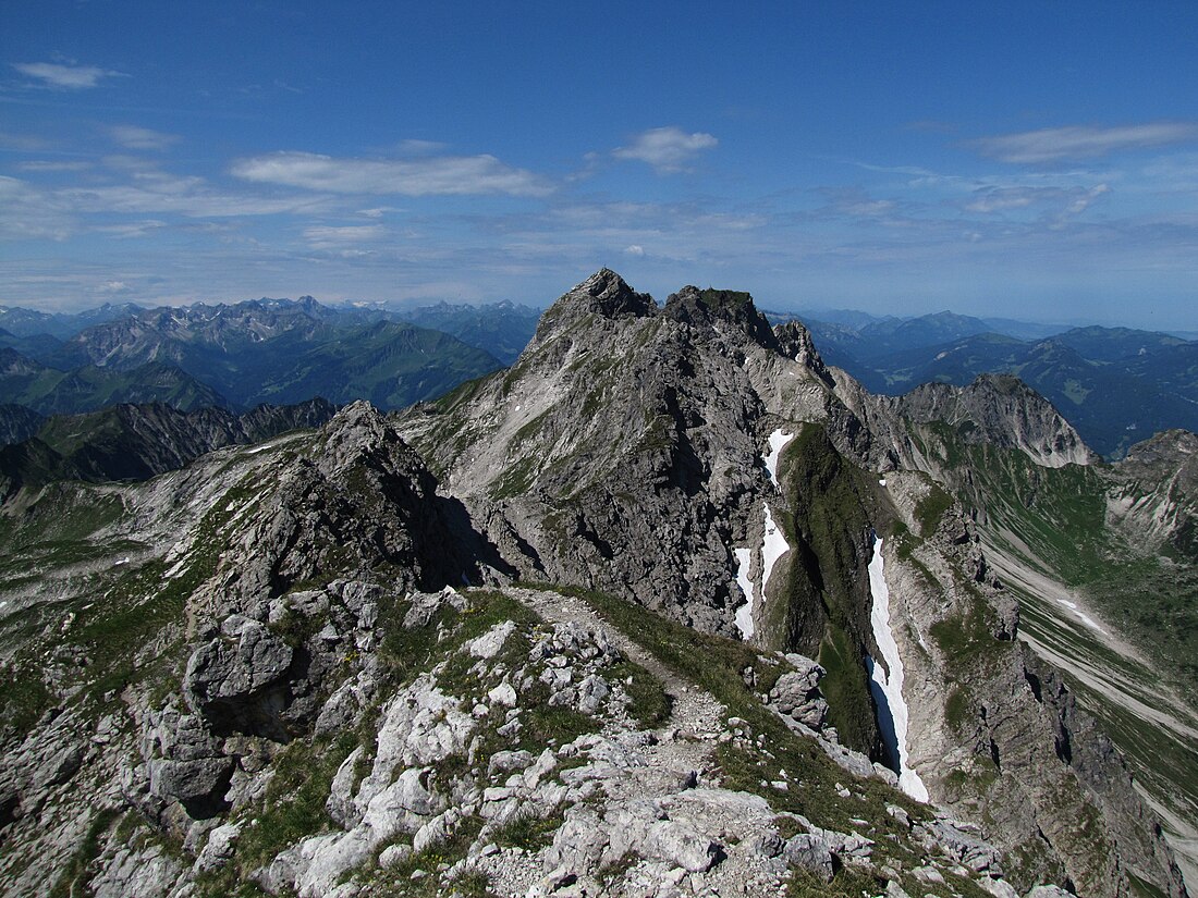 Westlicher Wengenkopf