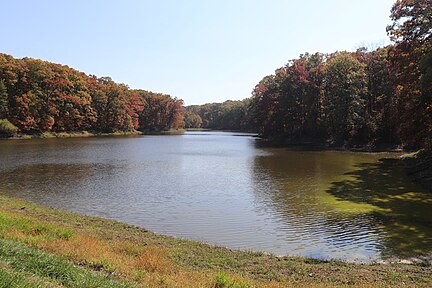 White Oak Lake, located within Shimek State Forest White Oak Lake, located within Shimek State Forest (2020).jpg