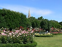 Datei:Wien_Volksgarten_Rathausturm_Rosenblüte.jpg