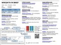 Wikidata-in-brief-1.0.pdf