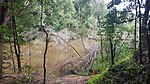 Wyong River