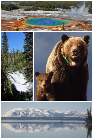 Parque nacional de Yellowstone