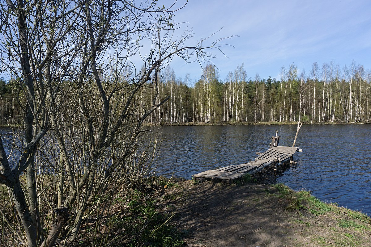 Вода ольгино