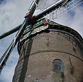 Baard van de Zwaan in Lienden onder de windpeluw